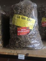 Cà gai leo