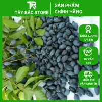 Quả Trám Đen Tươi